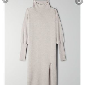 HOT PINK Wilfred Cyprie Dress NWT XS